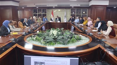 بني سويف تنسق جهودها لتطبيق الهوية البصرية على المرافق العامة