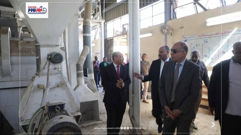 محافظ المنيا