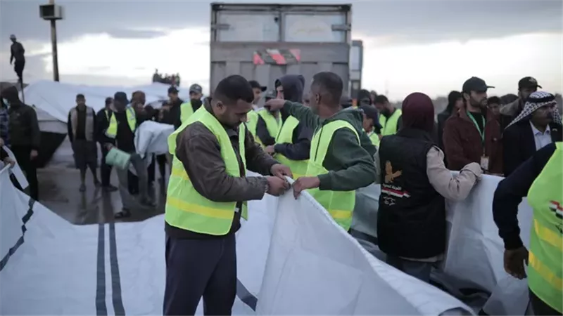 جهود اللجنة المصرية