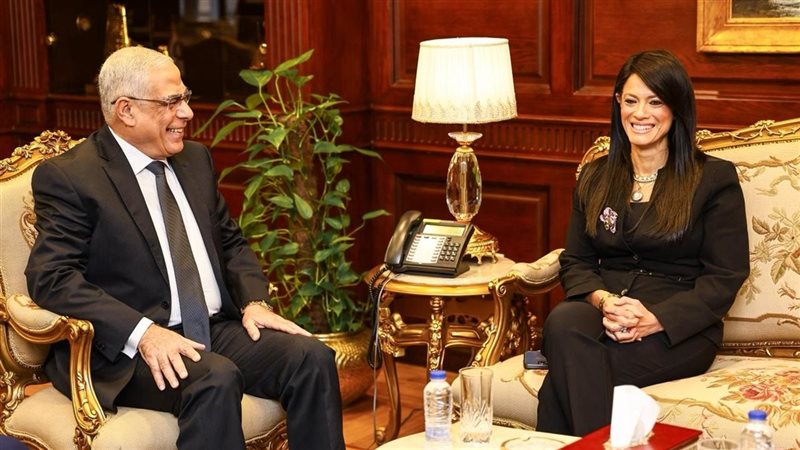 وزيرة التخطيط والنائب