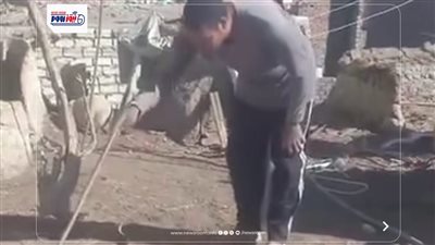 إصابة حاوي ثعابين بلدغة كوبرا أثناء عمله في قرية فرقص بالفيوم