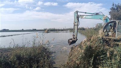 إزالة حالتين تعدٍ لمزارع سمكية على أراضٍ زراعية جنوب بورسعيد