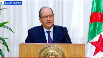 رئيس الوزراء الجزائري: تعزيز التشاور مع مصر أولوية لاستعادة السلم والأمن 