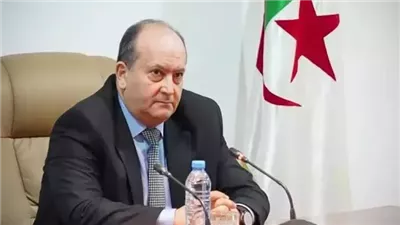 رئيس الوزراء الجزائري: الشركات المصرية أصبحت نموذجا للمثابرة والنجاح