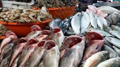  أسعار الأسماك اليوم السبت  29 نوفمبر 2025 بسوق العبور 