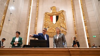 النائب طارق رضوان يلتقي الممثل الخاص للاتحاد الأوروبي لحقوق الإنسان