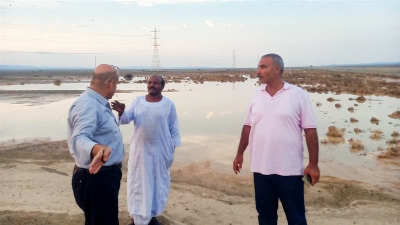 جانب من الحدث 