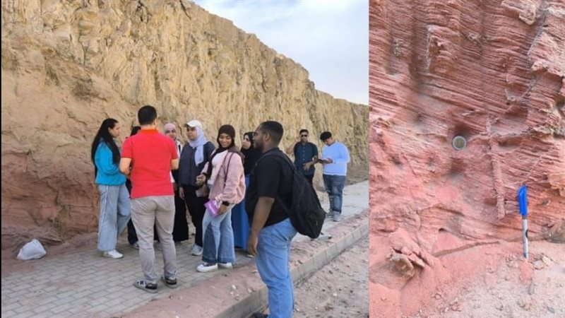 طلاب جامعة القاهرة