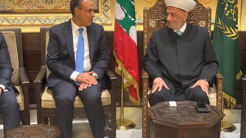 عبد العاطي يلتقي