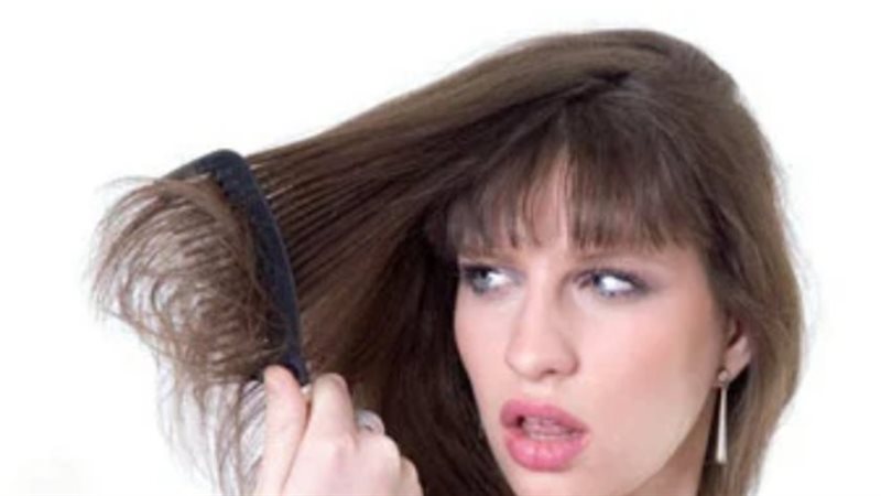 وصفات طبيعية للشعر