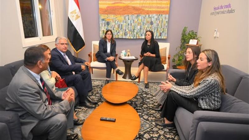 موسسة الحمل الصغيرة