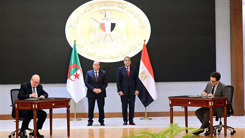 تعاون بين مصر والجزائر