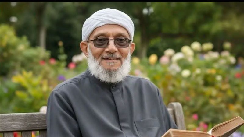 رحيل شعراوي اليمن