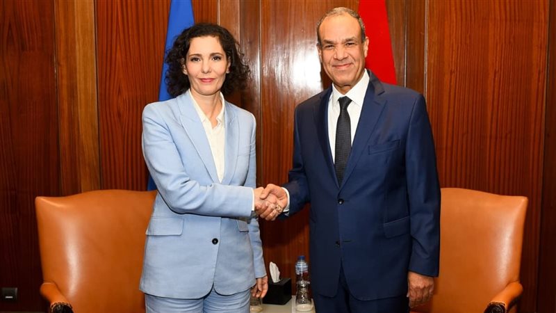 وزير الخارجية والمفوضة