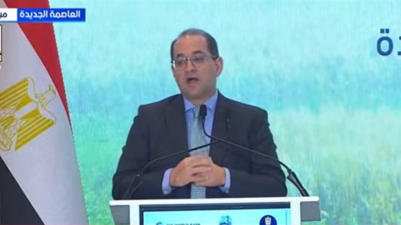 وزير المالية