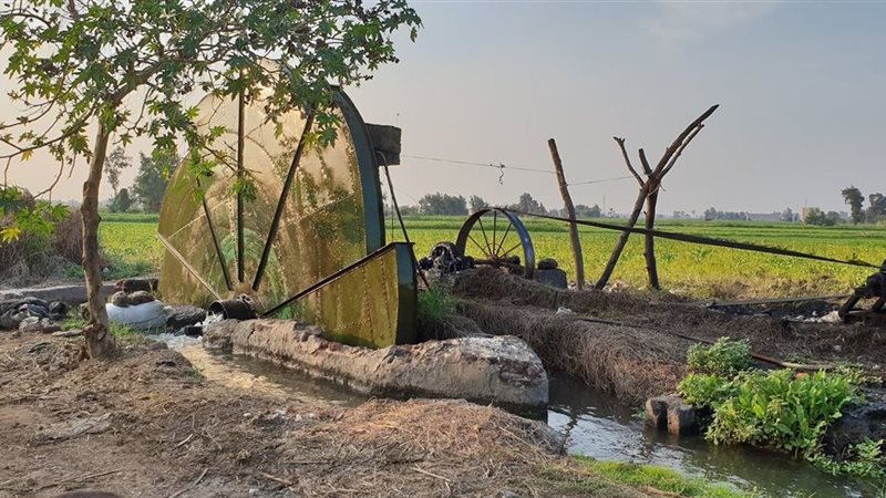 الريف المصري 