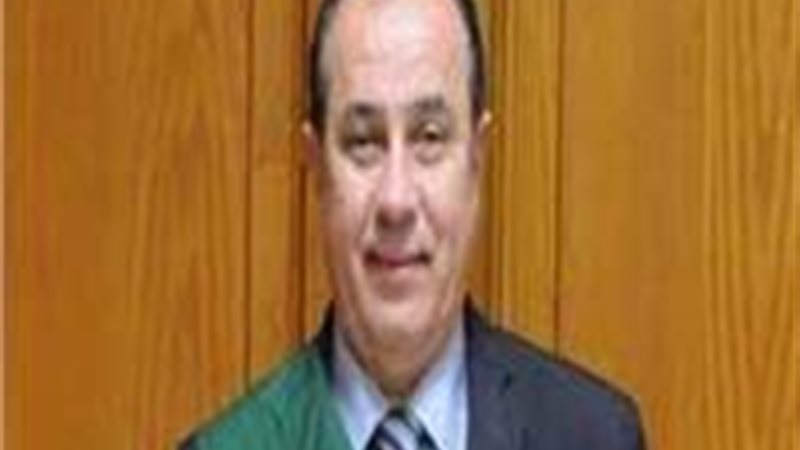 المستشار وجدي عبدالمنعم