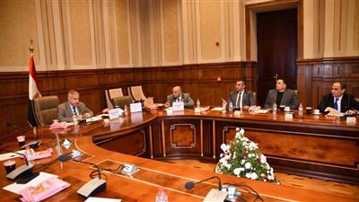 حراك موسّع.. لجان مجلس الشيوخ تواصل مناقشة خطط عملها لدور الانعقاد الأول