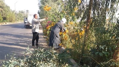 بتوجيهات محافظ الأقصر.. الطود تواصل خطة الارتقاء بالبيئة والخدمات