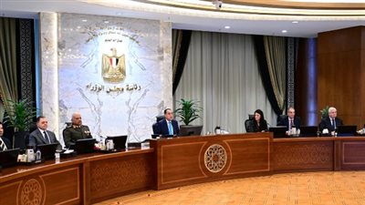 رئيس الوزراء: لا فيروسات غريبة.. وما نشهده هو أنفلونزا موسمية عادية