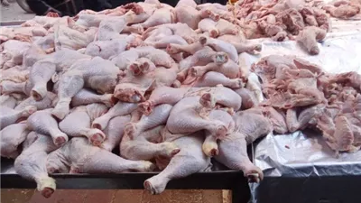 ضبط مخالفات في شبرا الخيمة وشبين القناطر في حملات تموينية مكثفة بالقليوبية