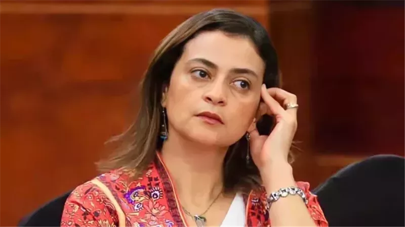 علا الشافعي