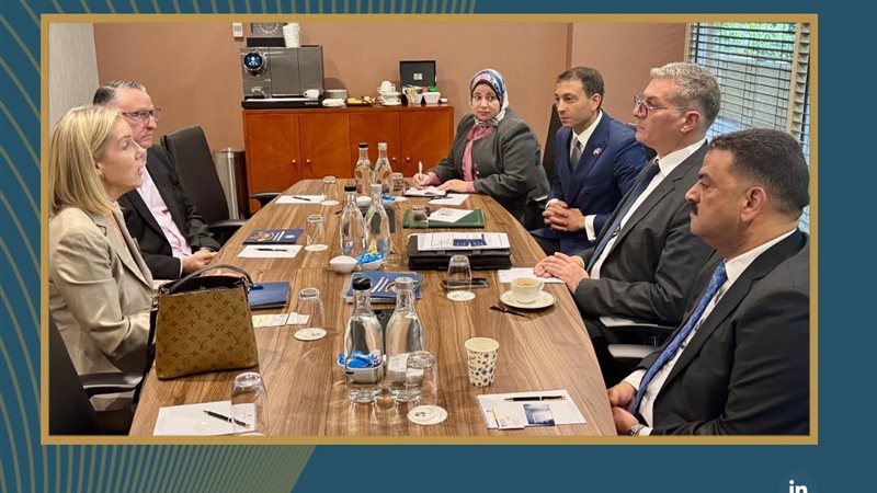 المهندس كريم بدوي