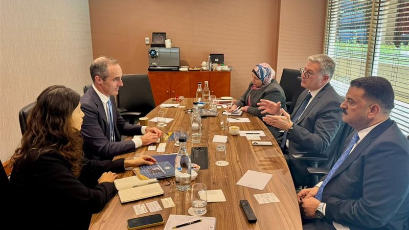 المهندس كريم بدوي