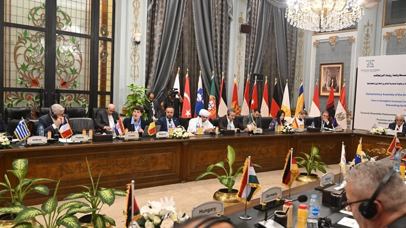 أبو العينين