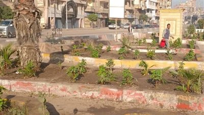 محافظ الغربية يتابع سير حملات النظافة والتشجير بمدن ومراكز المحافظة