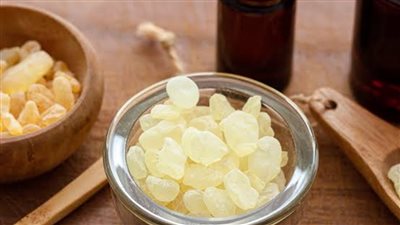 المستكة الطبيعية .. سر الأشجار وأبرز فوائدها الغذائية العظيمة 	