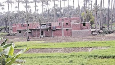 منح مجلس الوزراء صلاحية استثنائية للتصالح في حالات يصعب أو يستحيل إزالتها