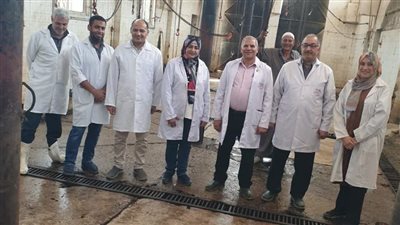 «بيطرى الشرقية»: التفتيش علي 12 ألف و750 رأس ماشية في 17 مجزرا حكوميا