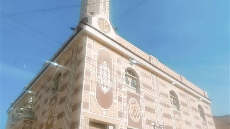 البحيرة تواصل افتتاح