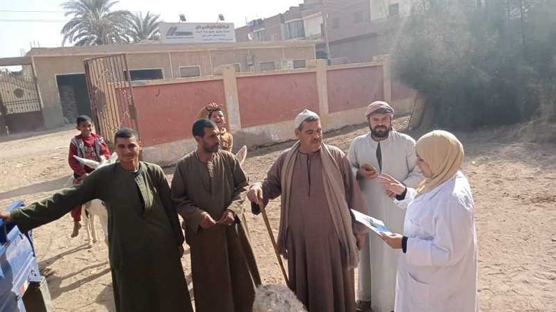 خلال الحملة 