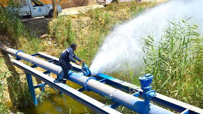 جانب من الأعمال 