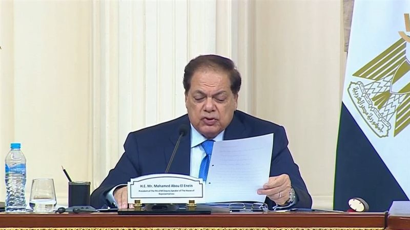 النائب محمد أبو العينين