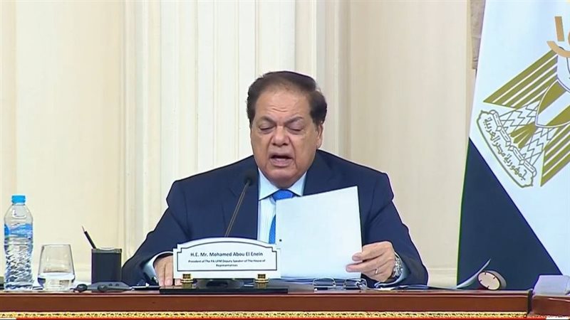 النائب محمد أبو العينين