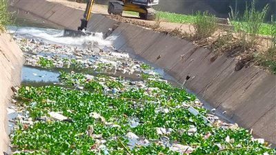 زراعة المنوفية : الموافقة على ترخيص 967 مشروع زراعي متنوع  منذ بداية يناير  