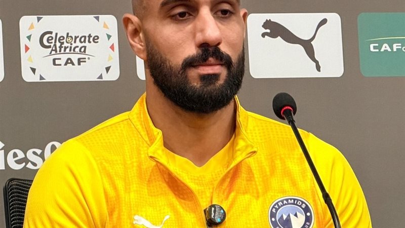 أحمد الشناوي