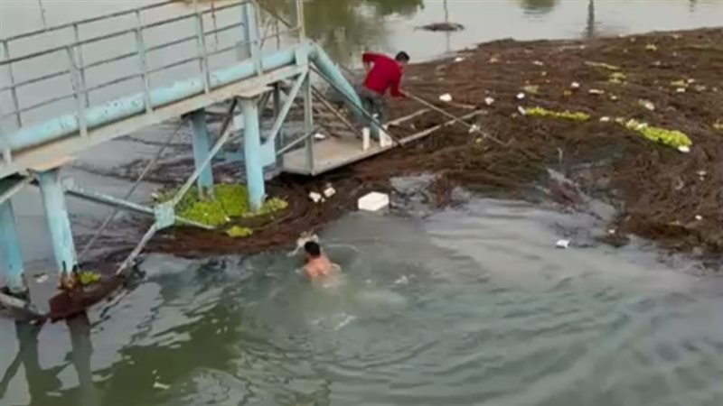 جانب من عمليات التطهير