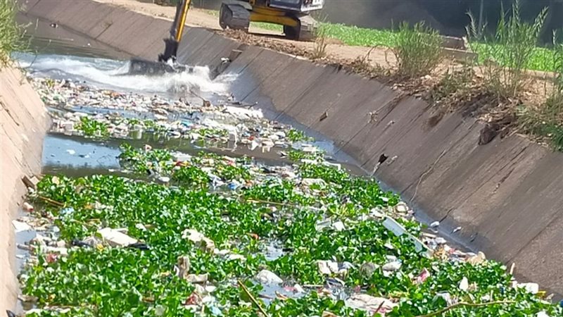 جانب من التطهير 