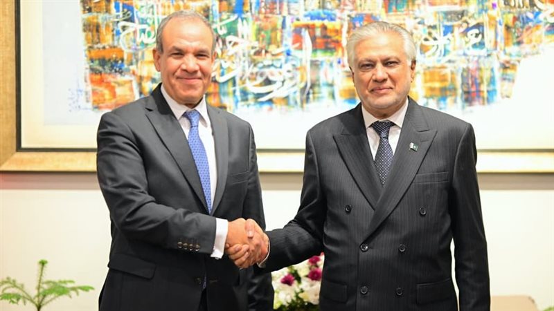 وزيرى الخارجية المصري