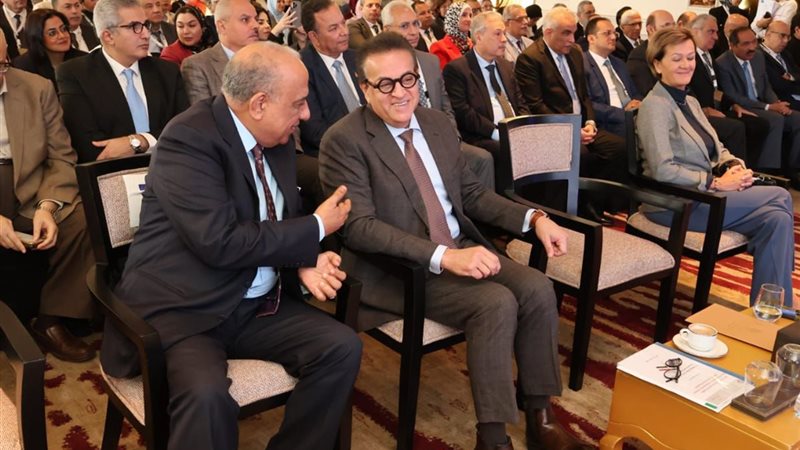 وزير الكهرباء 