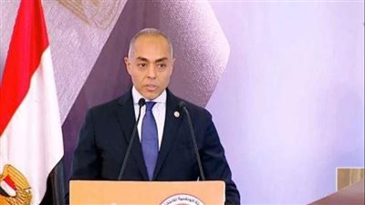 اليوم الأول لانتخابات الخارج.. «بنداري»: فتح جميع اللجان وآخرها في لوس أنجلوس