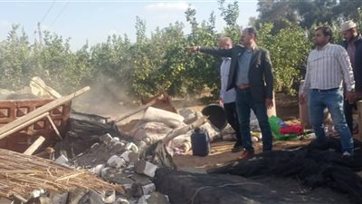 إزالة أسوار ومباني مخالفة بالطوب الأبيض بمركز حوش عيسي في البحيرة