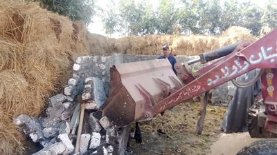 الاجهزة التنفيذية بالشرقية تواصل تنفيذ الإزالات الفورية لحماية الرقعة الزراعية