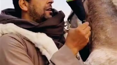 واقعة غريبة.. شاب ببنى سويف يقوم بالرقص مع حمار وسط ردود فعل مثيرة للجدل