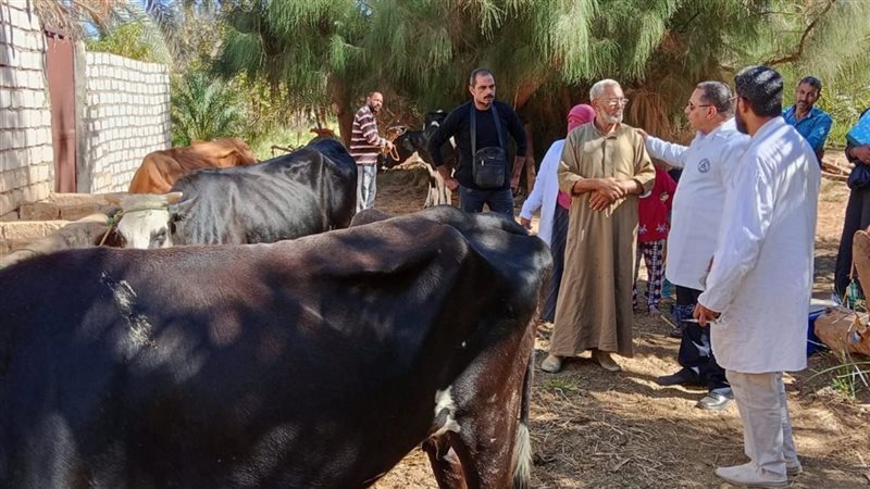 جانب من الحملة القومية