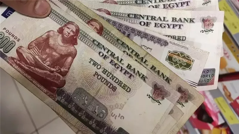 معاشات ديسمبر 2025